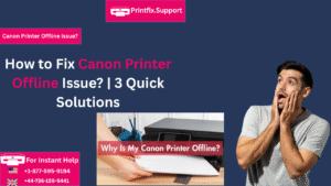 HP 13 Canon Printer Offline Issue?